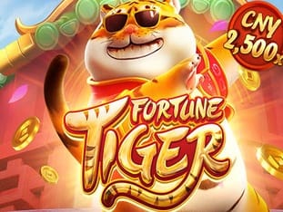 Fortune Tiger game screenshot