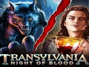 Transylvania_ Night Of Blood game screenshot
